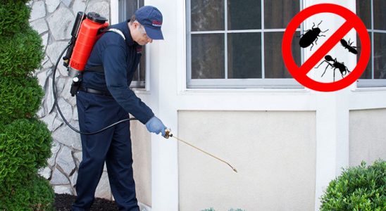 Tekkeköy Gümüşkurt İlaçlama böcek ilaçlama ve haşere kontrolü — ilaclama-tr.com